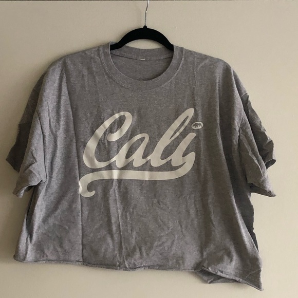 Gray Cropped California T-shirt - Picture 1 of 4